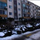 수안채공인중개사사무소 이미지