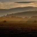 진진공인중개사사무소 이미지