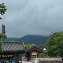 니오지점 | [울산] 울산은 고래의 도시인가요? 네니오 (통도사, 언양닭칼국수 본점, 반구대 암각화, 오브드나타...