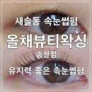 올채뷰티왁싱송산점 | [화성] 새솔동 속눈썹펌 올채뷰티왁싱 송산점 단백질펌 추천
