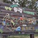 송림나무시장 이미지
