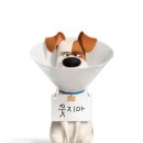 마이펫가든 이미지