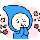 풍진식품기계 네이버블로그