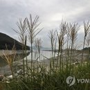 석모도바람길 이미지