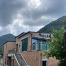 시도 3호선 버즘나무 | [충북 옥천] 장령산자연휴양림 ‘단풍나무 3호’ 숙박 후기(+ 숲속동굴 찾아 삼만리..)