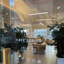 와작와작 | 화명동 두쫀쿠 맛집 카페쌀로 두바이쫀득쿠키 내돈내산 가격 후기 비교