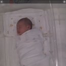 더 아이리스 산후조리원 | [조리원]당산 더아이리스조리원 2주 내돈내산 후기(추천)