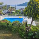 원원펜션 | 거제도 애견펜션 도그팬션 강아지와 여행