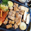 한돈세상 이미지