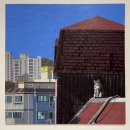 미소기획 - 동구 선화로 202 | 고양이처럼 나도 살고 싶다. 섬냥이 in 여수 장도 GS칼텍스 예울마루 기획 전시 후기