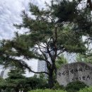 시범삼성공인중개사사무소 네이버블로그