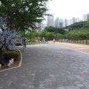 어름수변공원 Daum카페