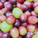 드림153유치원 이미지