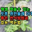 평생먹을