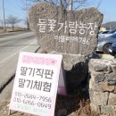 들꽃농장 이미지