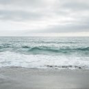 초록과 함께하는 힐링타임 이미지