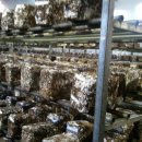 명훈농장 이미지