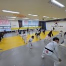 용인대 제일태권도 이미지