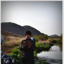 청도천로1 Daum카페