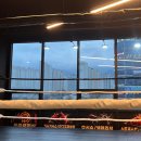 제이복싱클럽 이미지