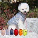 베스트 컴패니언