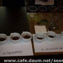 서래수