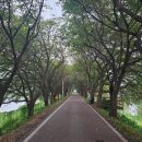 하방천변길 이미지