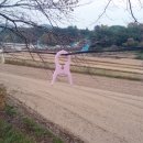 무병장수마을