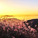사진공원 - 사상구 사상로 208-1 | 사진공원