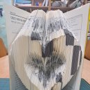 [1급과정] 손유희지도사 1급 이미지