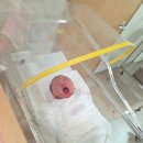 (주)에프앤디넷 목동제일점 | 목동제일여성병원 제왕절개 출산 후기 3일차 입원 김언아 원장님