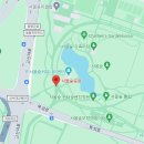 별헤는 이미지
