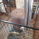 우렁각시쌈밥 이미지