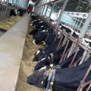 비젼목장 이미지