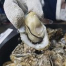 청량리12 이미지