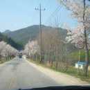 삼가-30 이미지