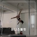 허니폴댄스