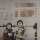 선일식당 이미지