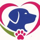 디엠케어 이미지