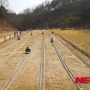 대가야역사테마관광지 이미지