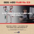 새빛 태권도 이미지