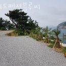 욕지도펜션블루씨 네이버블로그