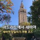 광장기사식당 | 마드리드에서 세비야 당일치기 여행 코스 스페인광장 세비야대성당 히랄다탑 오렌지정원 세비야FC...