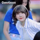 NATURE(네이처)PC 이미지