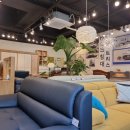 준갤러리 이미지