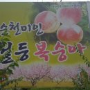 순천농협월등지점