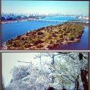 서울 한강공원 영상 1차(자벌레 전시관)~"봄, 여름, 가을, 겨울" 이미지