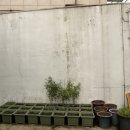 북수동경로당 이미지