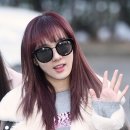 케이스텔라 이미지