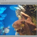 플러스컴퓨터 이미지